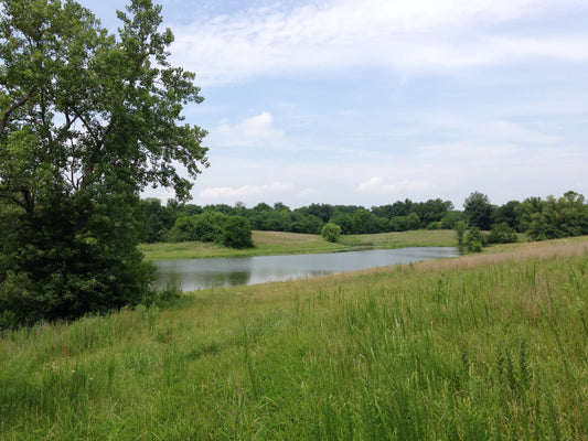 rolling hills along Odessa reservoir 