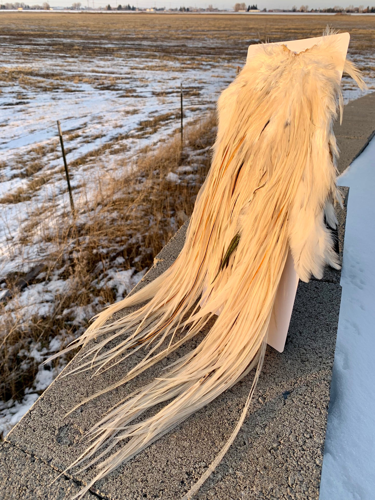 fly tying hackle inspired by earth’s natural beauty – Borealis Hackle