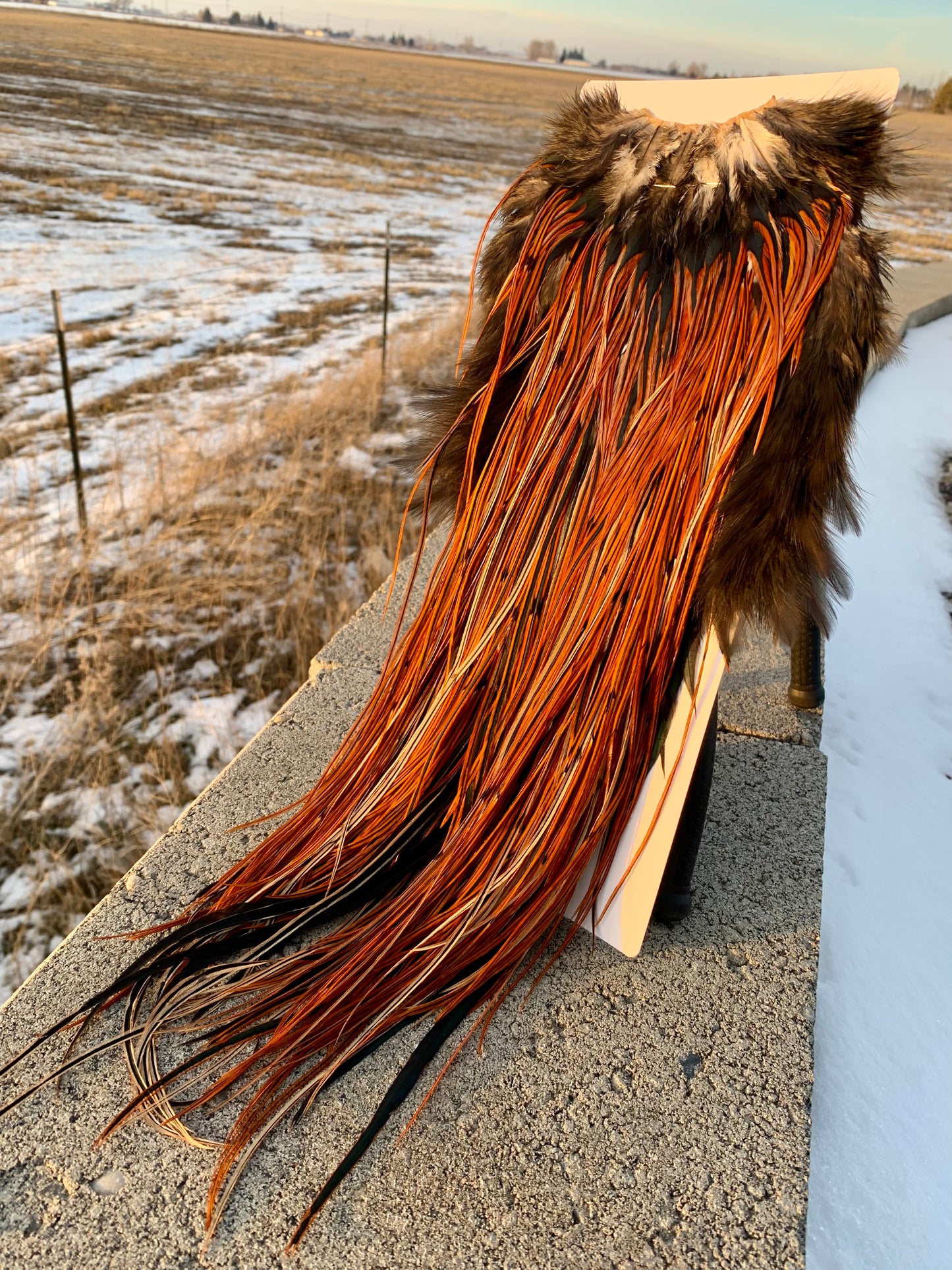 fly tying hackle inspired by earth’s natural beauty – Borealis Hackle