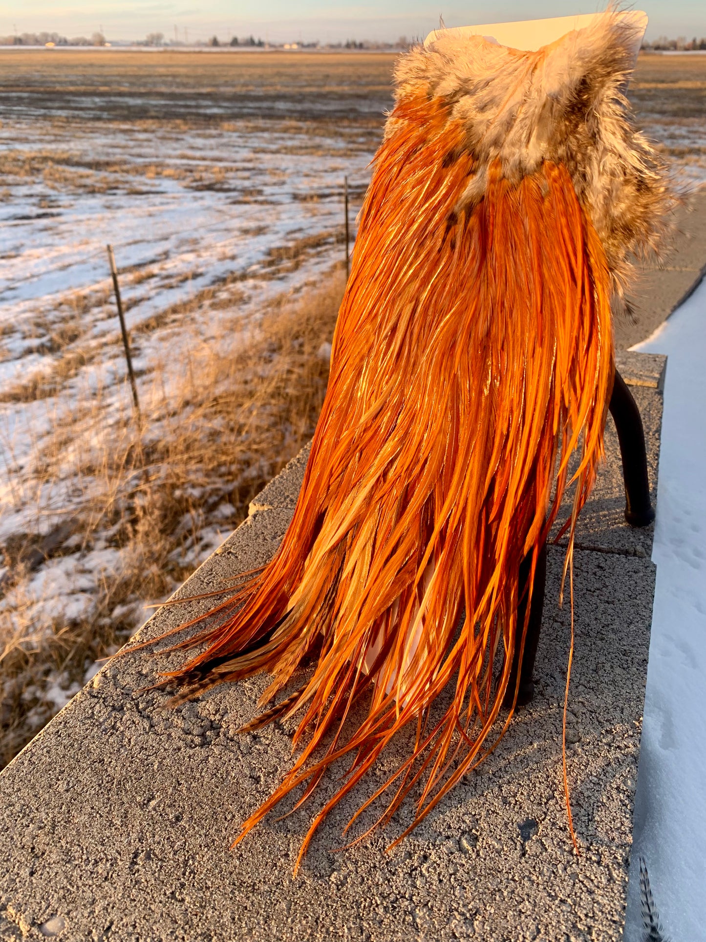 fly tying hackle inspired by earth’s natural beauty – Borealis Hackle