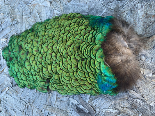 Peacock Saddle