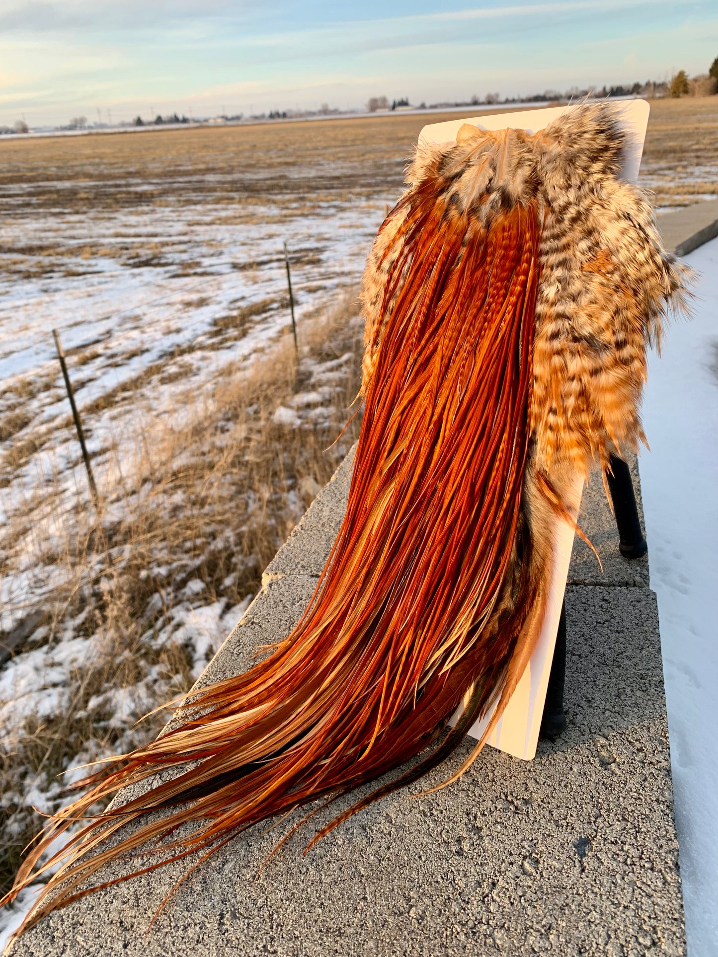 fly tying hackle inspired by earth’s natural beauty – Borealis Hackle