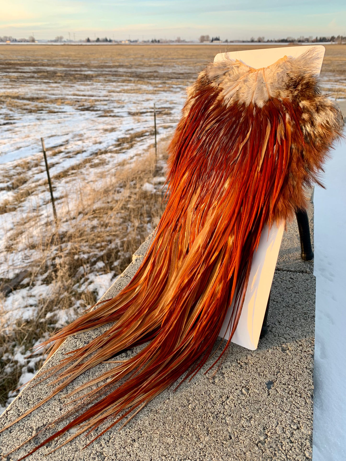fly tying hackle inspired by earth’s natural beauty – Borealis Hackle