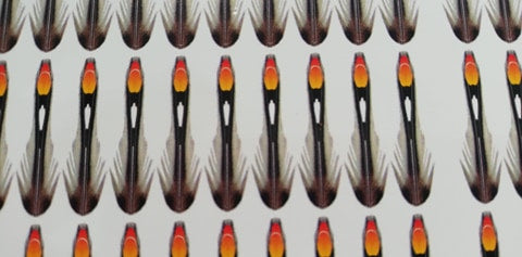 Synthetic Jungle Cock 10mm X-Small (200 feathers Bulk Pack)
