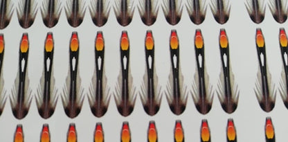 Synthetic Jungle Cock 10mm X-Small (200 feathers Bulk Pack)